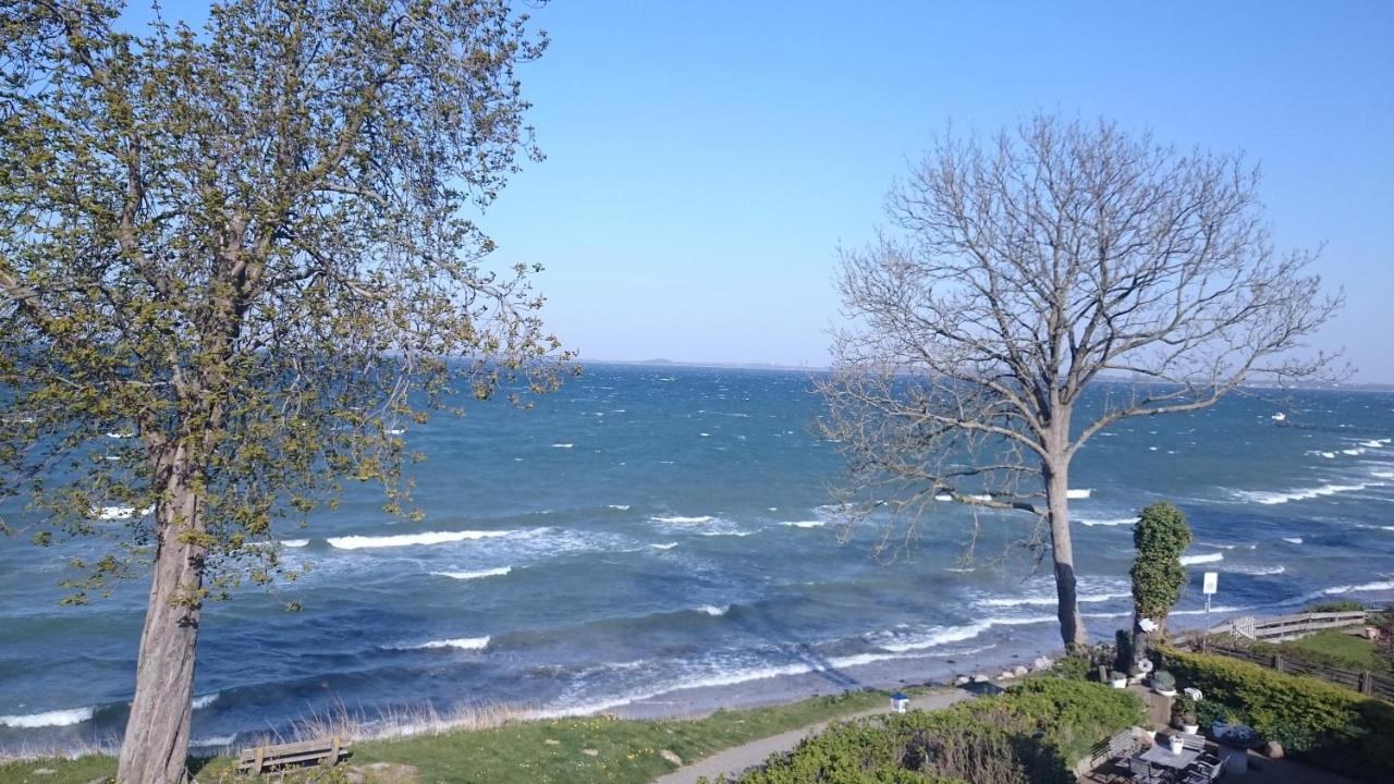 Strandappartements Steinberghaff "Kegnaes" Mit Meerblick Und Sauna 스타인베르크 외부 사진